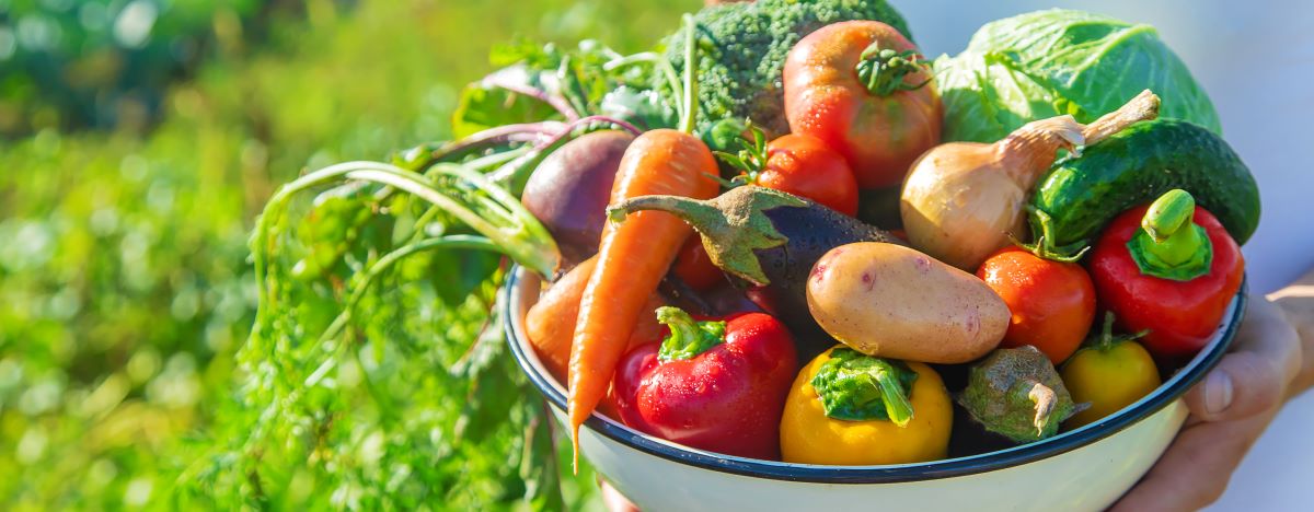 Saisonkalender Deutschland: Obst & Gemüse Übersicht