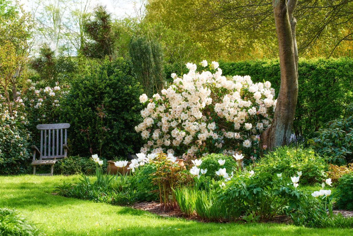 Ruhe im eigenen Garten in Unna — der perfekte Rückzugsort